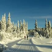 Nordic Skiing and Cross Country Skiing – What’s the Difference?